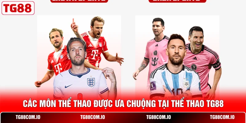 Các môn thể thao được ưa chuộng tại thể thao TG88